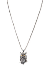 Load image into Gallery viewer, Owl Pendant Chain Necklace