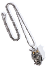 Load image into Gallery viewer, Owl Pendant Chain Necklace
