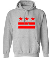 Load image into Gallery viewer, DC Flag Hoodie